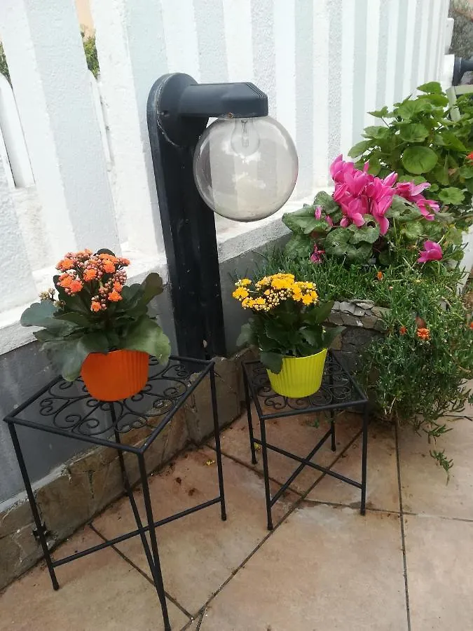 לינה וארוחת בוקר אלגהרו B&B Lety