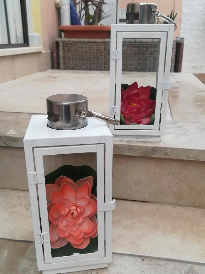 אלגהרו B&B Lety איטליה